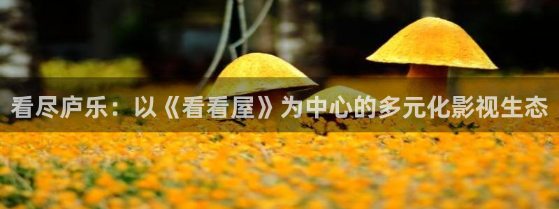六安红叶国际影城：看尽庐乐：以《看看屋》为中心的多元化影视生态