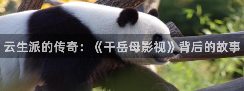 西安红叶影城：云生派的传奇：《干岳母影视》背后的故事
