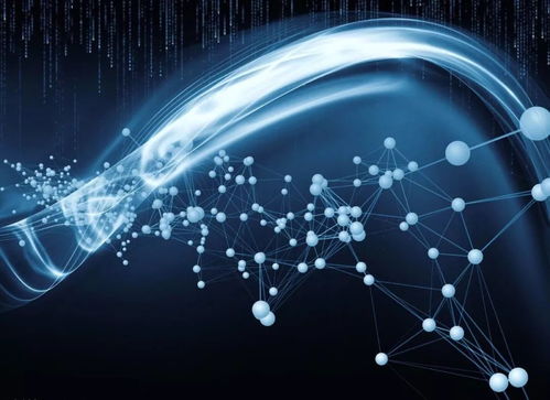 中欧关系稳中向好 携手构建人类命运共同体与网络技术研究合作