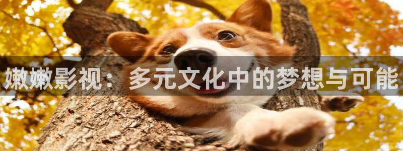 红叶影城今日影讯：嫩嫩影视：多元文化中的梦想与可能