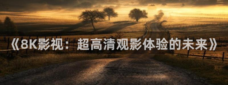 六安红叶电影院今日影讯：《8K影视：超高清观影体验的未来》