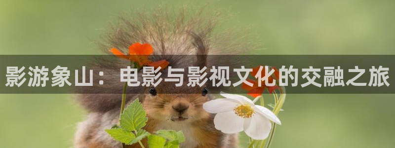 红叶影视完整版：影游象山：电影与影视文化的交融之旅